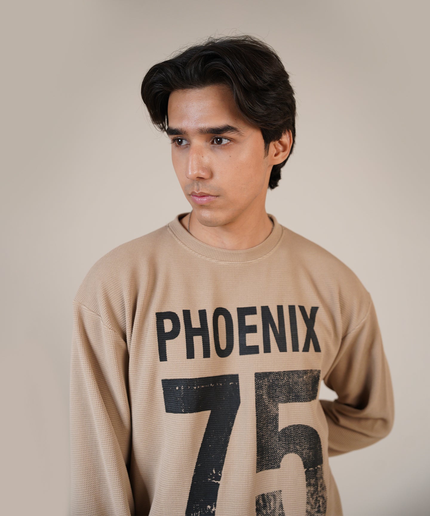 The Sandstone Phoenix