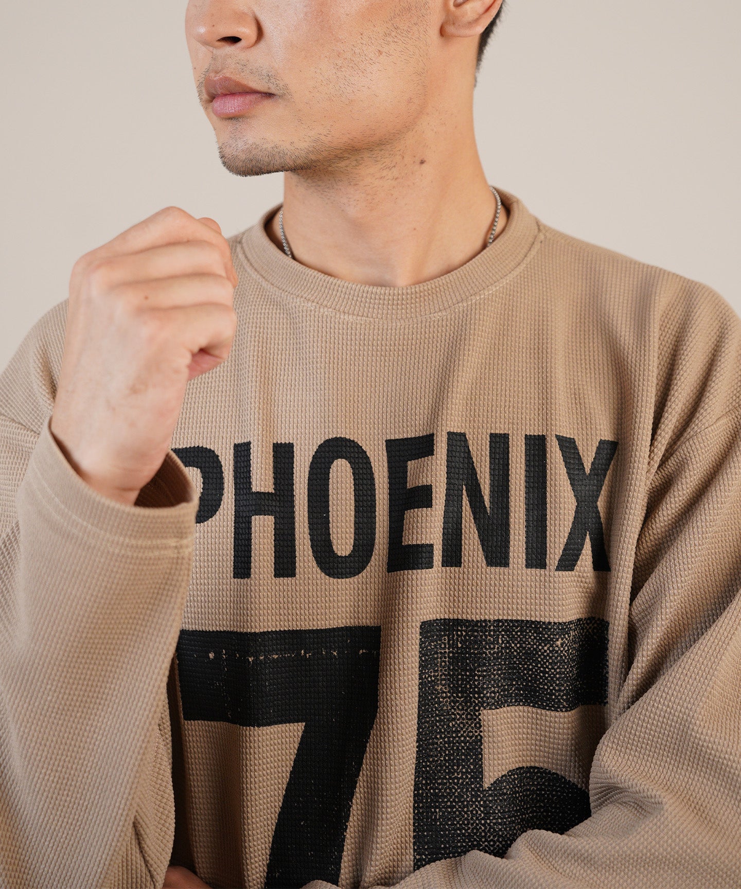 The Sandstone Phoenix